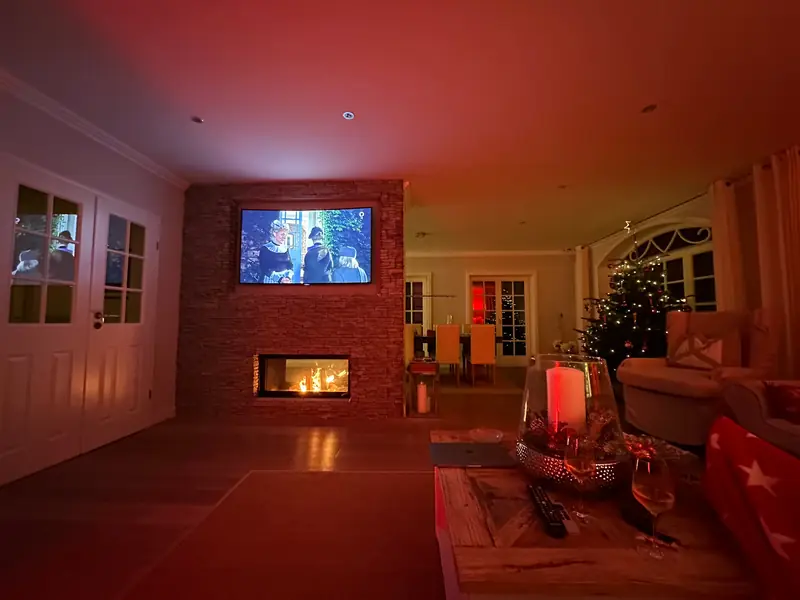 Wohnzimmer mit Kamin und Eichenholzboden